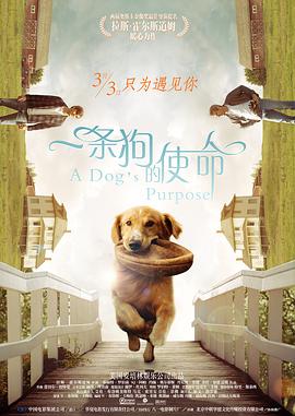 粤语中字无删减在线播放